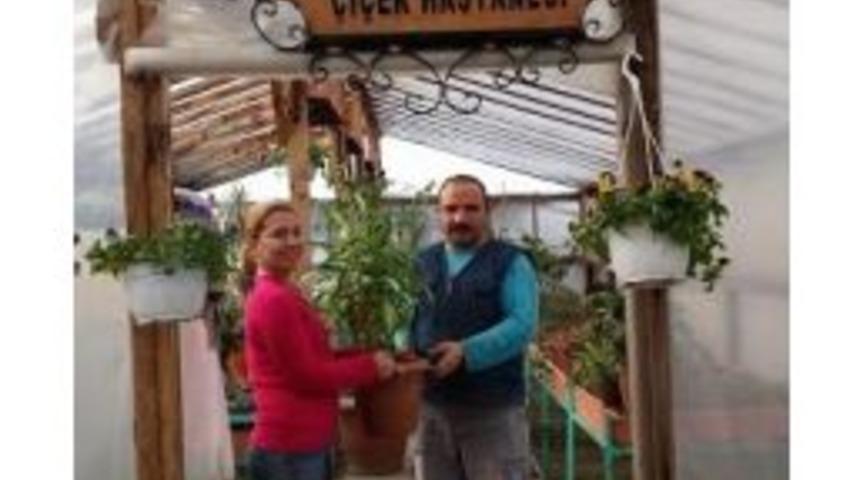 Bu Hastanede &Ccedil;i&ccedil;ekler Var