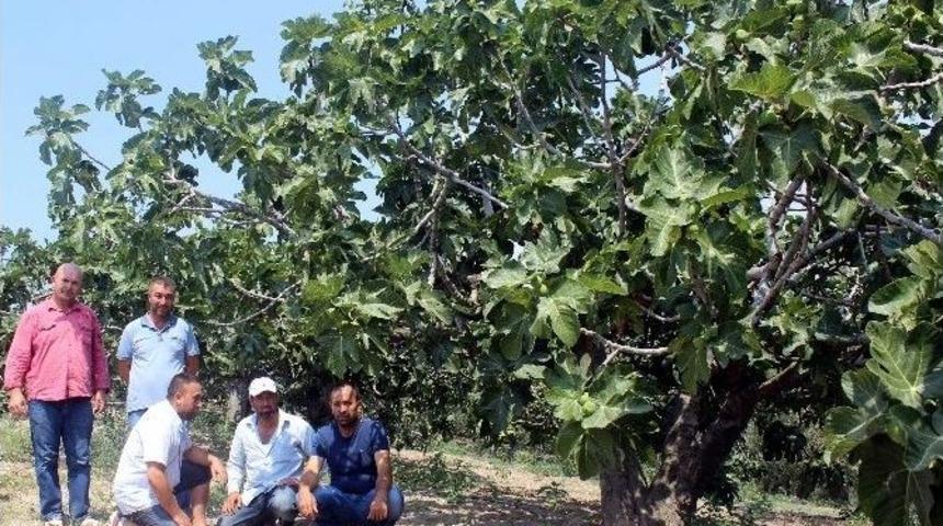 (&ouml;zel Haber) Cambridge D&uuml;şesi Kate&rsquo;ye Bursa&rsquo;dan K&ouml;t&uuml; Haber