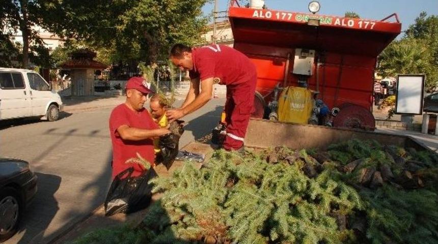 Demokrasi Şehitleri Anısına İki Bin Fidan Dağıtıldı