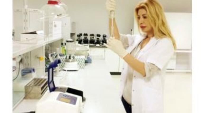 İa&uuml;, Kimyasal Madde İ&ccedil;ermeyen Gıda Ambalajı &Uuml;retecek