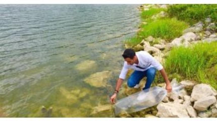 G&ouml;letlere 35 Bin Yavru Balık Bırakıldı