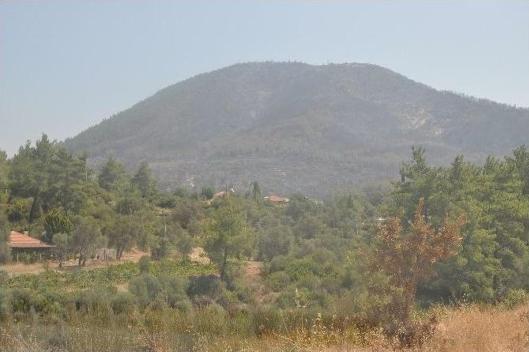 İzmir&rsquo;deki Orman Yangın Devam Ediyor