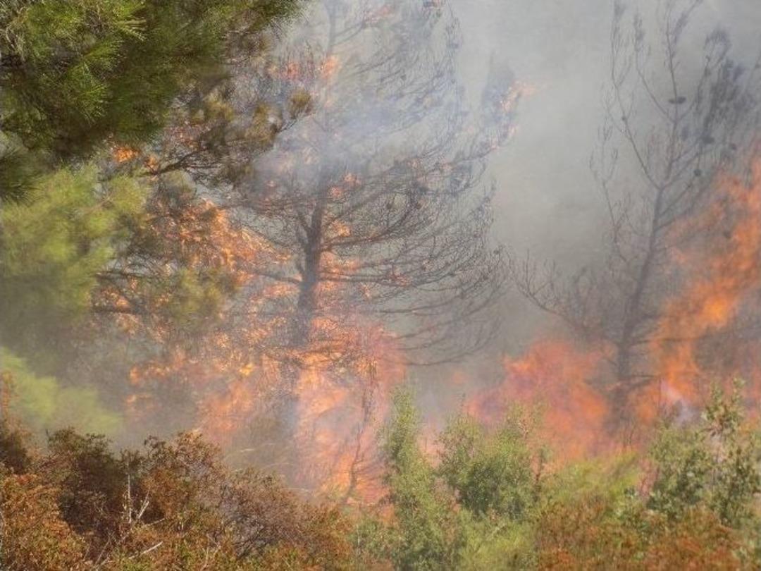 &Ccedil;ocukların Oyunu Bir Mahalleyi Yok Edecekti