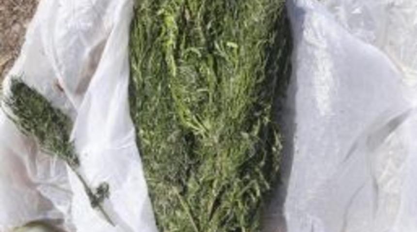 Aliağa&rsquo;da 1 Kilo 20 Gram Esrar Ele Ge&ccedil;irildi