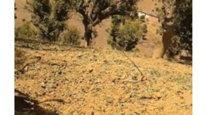 Karayoluna Tuzaklanan Eyp İmha Edildi