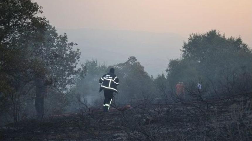 Tarlada &Ccedil;ıkan Yangın 5 Hektar Ormanı K&uuml;le &Ccedil;evirdi