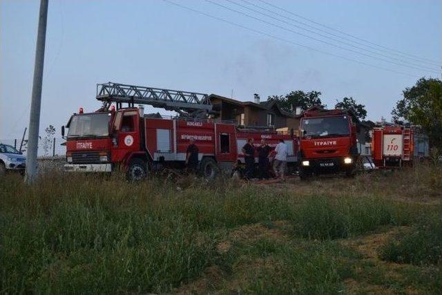 Tarlada Çıkan Yangın 5 Hektar Ormanı Küle Çevirdi