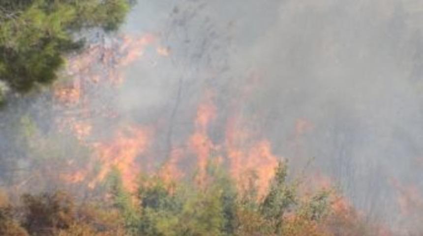 Kuyucak&rsquo;ta 2,8 Hektar Alan K&uuml;l Oldu