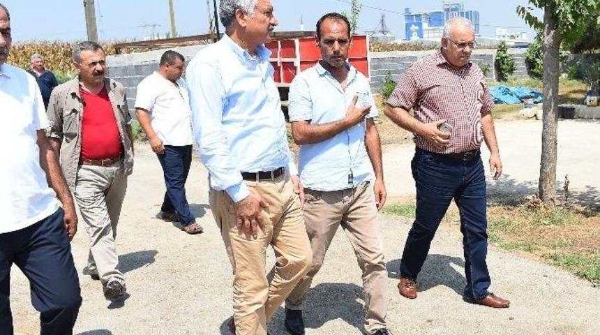 Başkan Karalar, Zeytinli&rsquo;de İncelemelerde Bulundu