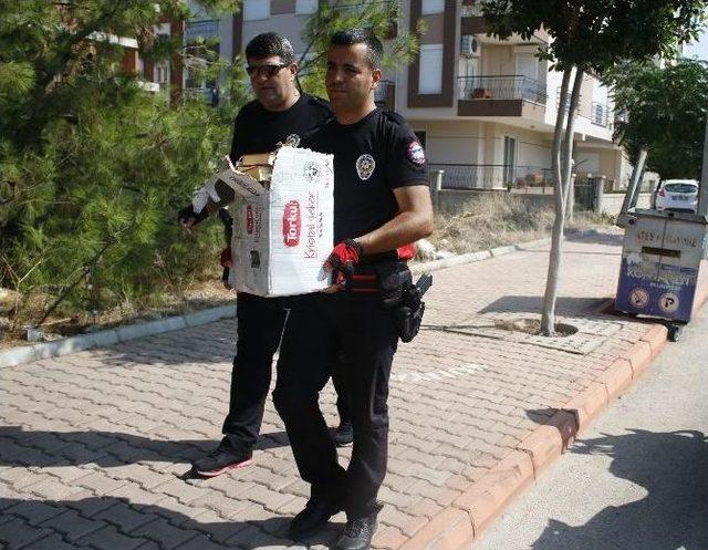 Antalya’da Çöpte Fetullah Gülen Kitapları Bulundu