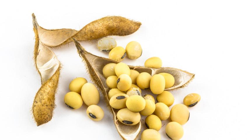 Cep yakmaz: Et yerine tercih edebileceğiniz 7 protein kaynağı