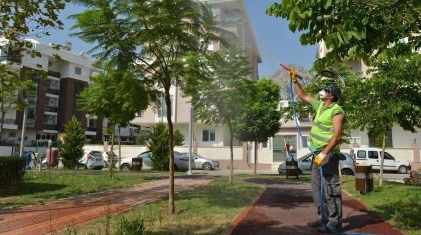 Konyaaltı Belediyesi&rsquo;den Hijyen &Ccedil;alışması