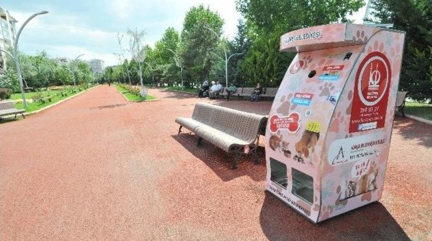 Doğayı Ve Sokak Hayvanlarını Koruyan Proje B&uuml;y&uuml;k İlgi G&ouml;r&uuml;yor