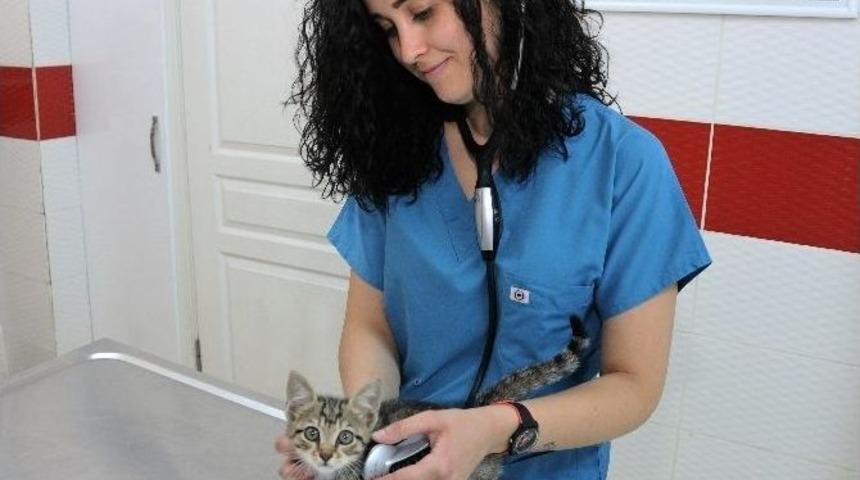 Kapı Ve Pencereyi A&ccedil;ık Bırakırken Bir Daha D&uuml;ş&uuml;n&uuml;n