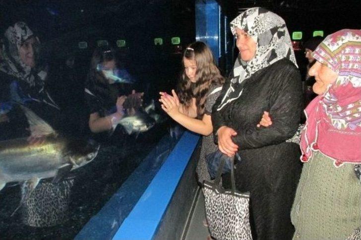 Sobe, Bilim Kültür Ve Sanat Parkı’nı Gezdirdi G1