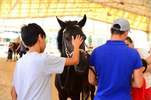 En Özel Minikler İçin Binicilik Kursu Başladı