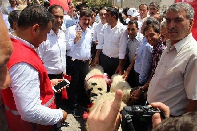 Ergani’de ‘demokrasi Yürüyüşü’