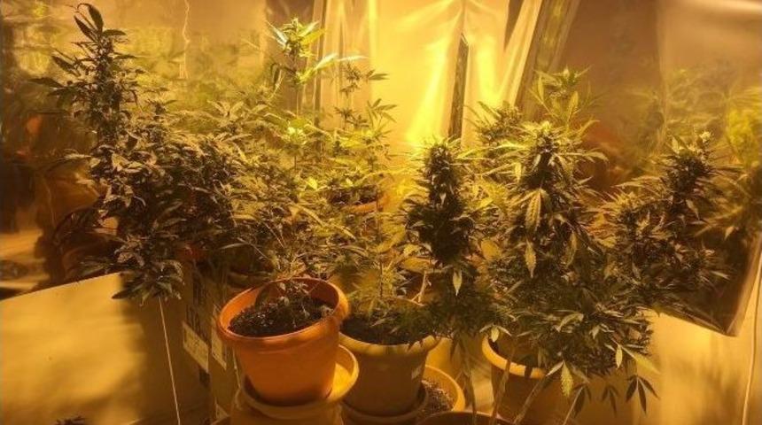 Evinin Odasını Kenevir Bah&ccedil;esi Yapan Şahıs Yakalandı