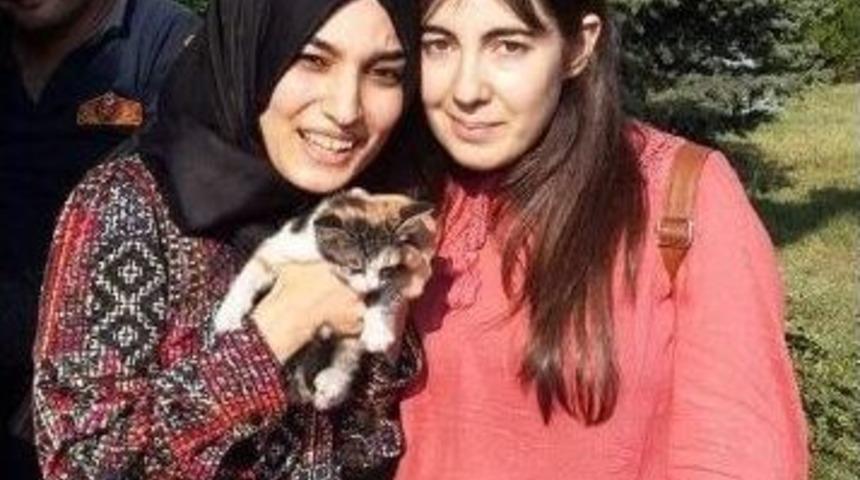 &Ccedil;alılıklara Sıkışan Yavru Kediyi İtfaiye Kurtardı