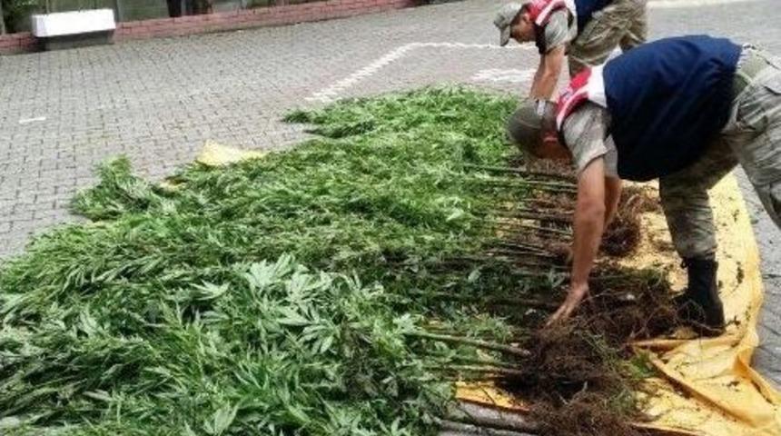 Salıpazarı&rsquo;nda Uyuşturucu Operasyonu