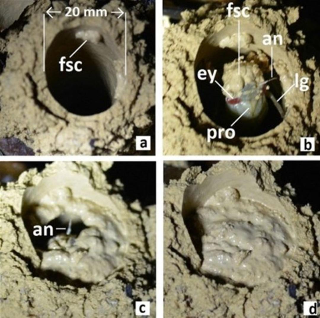 Bunun ne olduğunu biliyor musunuz? 