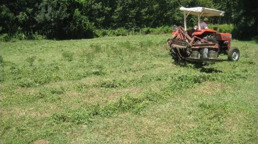 &Ouml;zel İdare K&ouml;y Meralarını Islah Ediyor