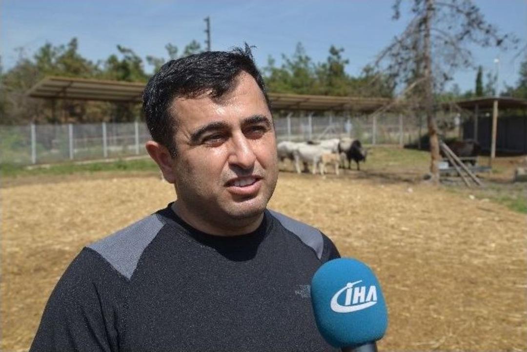 (&ouml;zel Haber) Klonlu Sığırlar Eti Ucuzlatacak