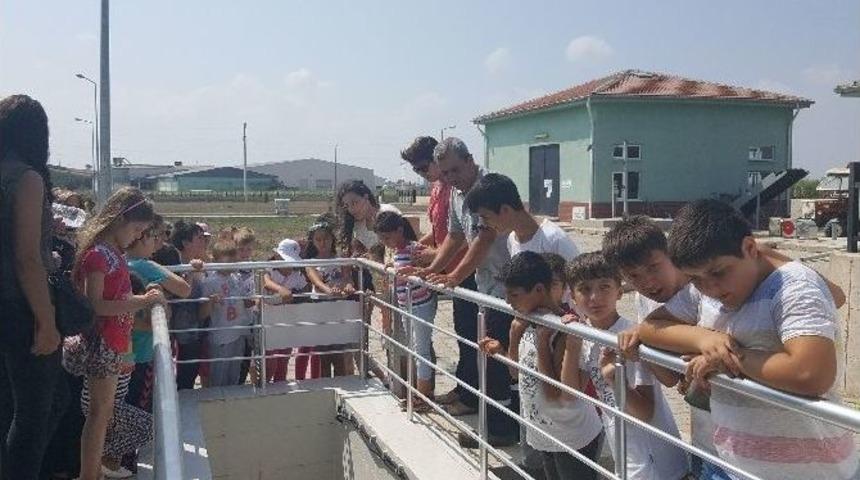 Yaz Okulu &Ouml;ğrencileri Atıksu Arıtma Tesisi&rsquo;nde