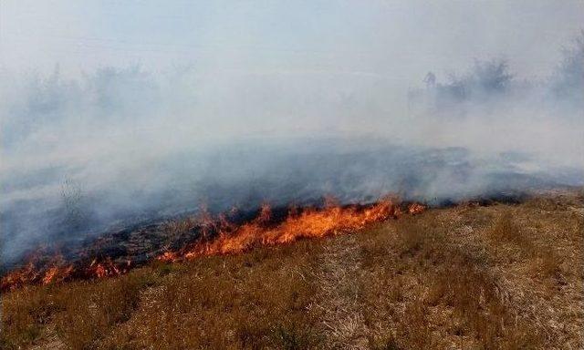 Hayrabolu’da Anız Yangını Korkuttu