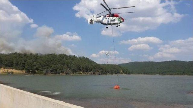 Saros’un Ciğerlerinde Yangın Çıktı