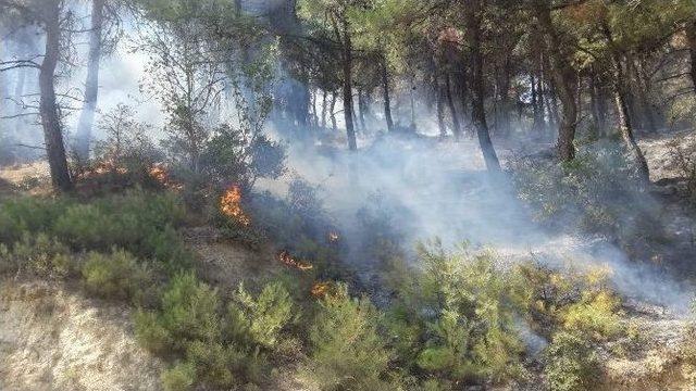 Saros’un Ciğerlerinde Yangın Çıktı