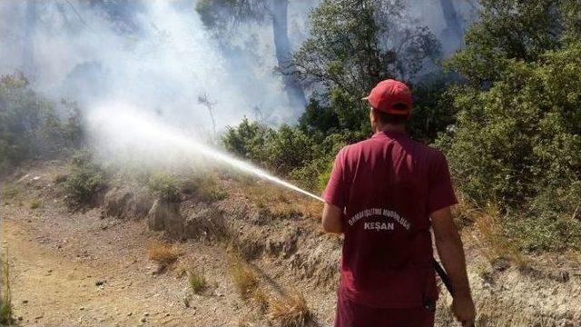 Saros’un Ciğerlerinde Yangın Çıktı