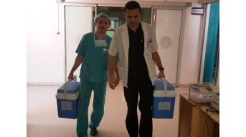 14 Yaşındaki Kız 3 Kişide Hayat Bulacak