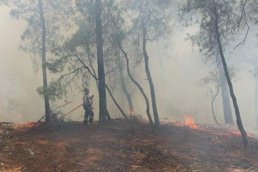 Kumluca&rsquo;da Orman Yangını