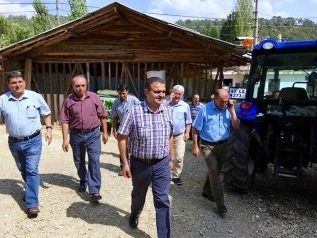 Gediz&rsquo;de Ork&ouml;y Destekli S&uuml;t Sığırcılığı Projesi