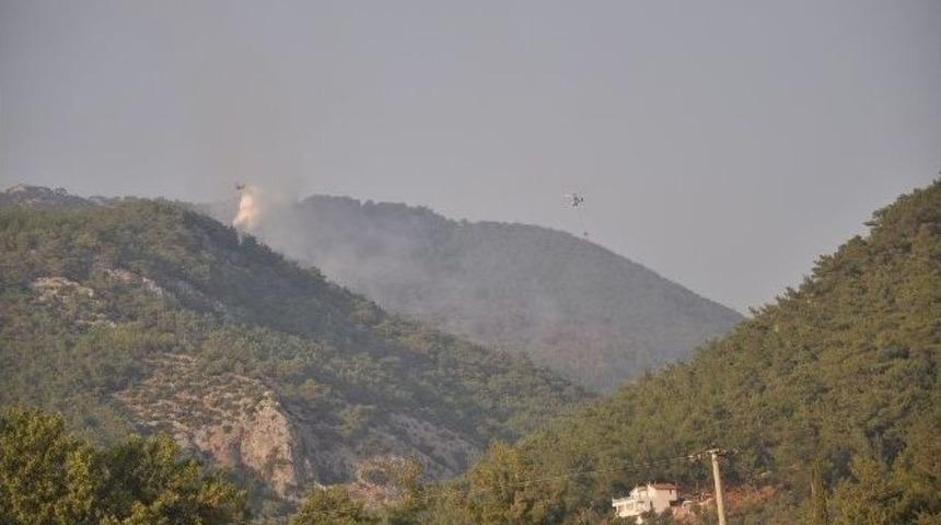 İzmir&rsquo;de Orman Yangını