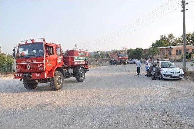 İzmir’de Orman Yangını