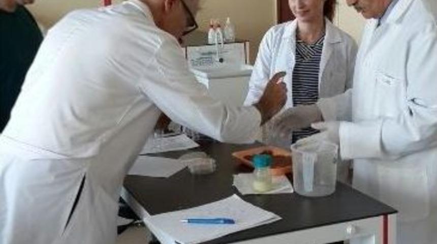 Tiap Bam&rsquo;ın Antimikrobiyal Yağı &Ccedil;e&ccedil;enistan Yolcusu