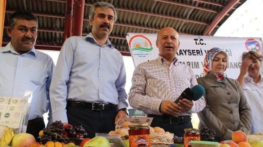 Kocasinan İnsan Sağlığı İ&ccedil;in Organik Tarıma Destek Veriyor