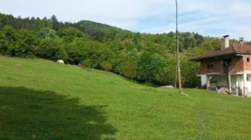 Bartın&rsquo;da 2 B&uuml;y&uuml;kbaş Hayvan &Ccedil;alındı