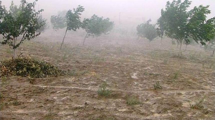 Yağışlar &Ccedil;ift&ccedil;ileri Sevindirdi