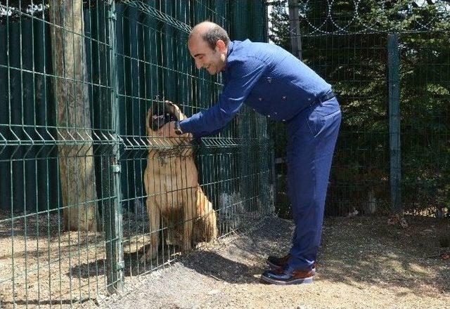 Yıldırım&rsquo;da Sokak Hayvanları Sahipsiz Değil 3