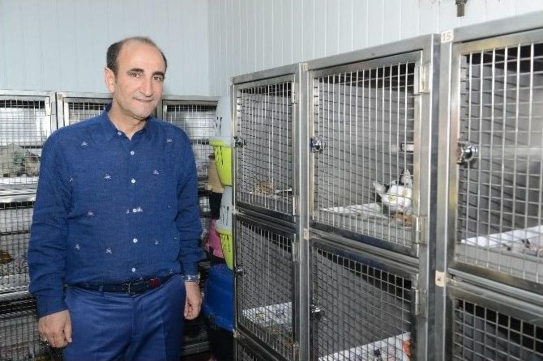 Yıldırım&rsquo;da Sokak Hayvanlarına Sıcak Yuva