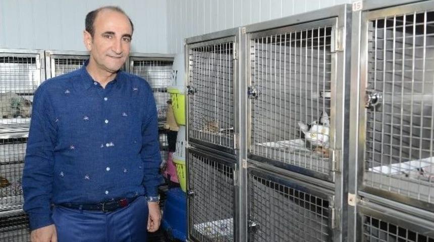 Yıldırım&rsquo;da Sokak Hayvanları Sahipsiz Değil