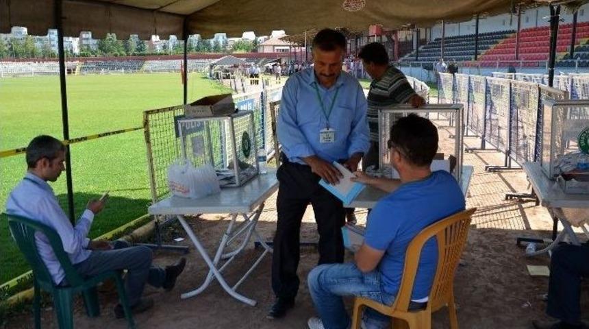 Pankobirlik&rsquo;te Ahmet Pehlivan Başkan Se&ccedil;ildi