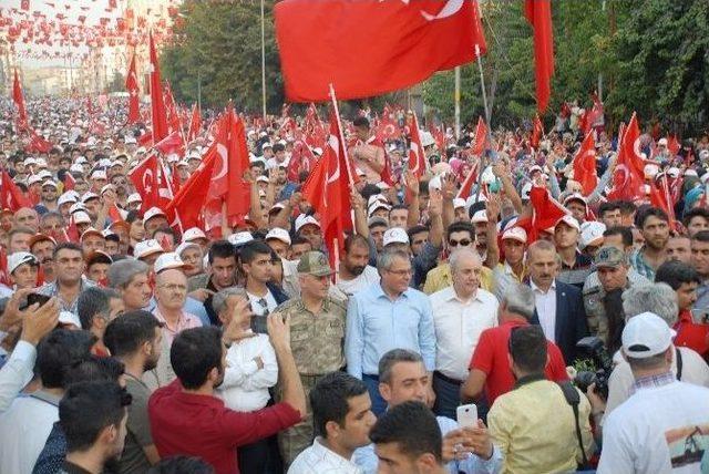 Batman’ın Kalbi İstanbul Yenikapı’da Attı