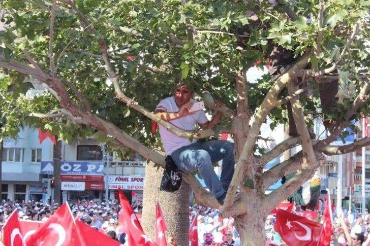 Bakan Zeybekci: “bunlara Lağım Faresi Demek, Farelere Hakarettir” G1