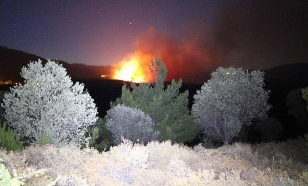 Kazdağlarında Orman Yangını