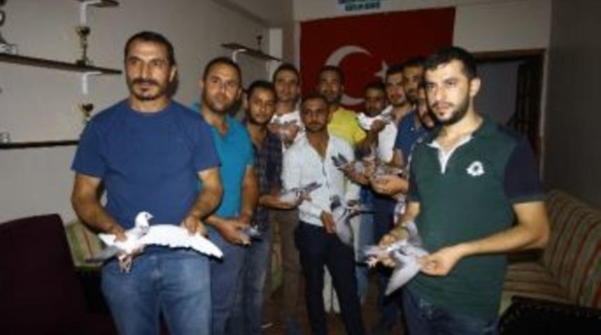 Posta G&uuml;vercinleri Yarışacak