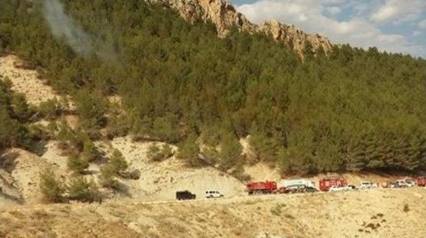Adıyaman&rsquo;da Orman Yangını